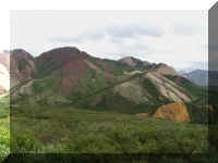 w a d2 4 colorful hill rt.jpg (31693 bytes)