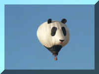 n a bf8 panda 280.JPG (9836 bytes)