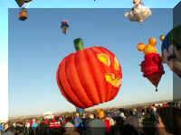 n a bf8 pumpkin 173.JPG (31912 bytes)