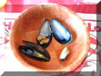 x ns07d1 mussels 035.JPG (37333 bytes)