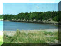 p ns07d4 sj beach 095.JPG (32888 bytes)