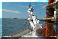 sail deck hand.jpg (34749 bytes)