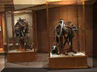 a f0809wcc_160 saddles in glass_1.JPG (35366 bytes)