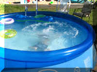 v pool 5-28-08 n under 163_1.JPG (52740 bytes)