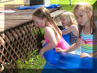 x sun 08  pool looking at_175_1.JPG (66880 bytes)