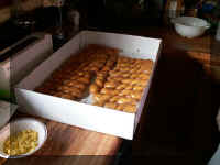r05 donuts not bc.jpg (27490 bytes)