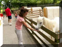 rp05 b feeding pony.jpg (48536 bytes)