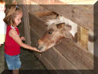 rp05 c feeding pony.jpg (38612 bytes)