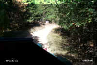 wd road in woods.jpg (43251 bytes)